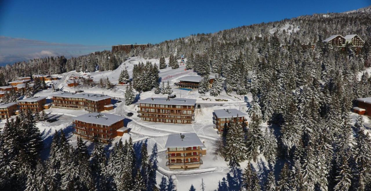 Charmant Appartement Confortable Pour 6 Personnes 40M2 Pied Pistes, Piscine, Wifi, Parking Chamrousse Εξωτερικό φωτογραφία